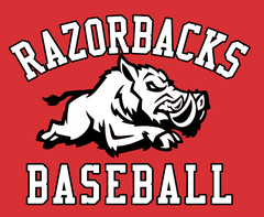 RAZORBACKS - ADULT - DT5000 District ® The Concert Tee ®