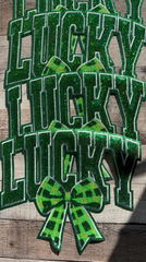 LUCKY SEQUIN PATCH WITH BOW