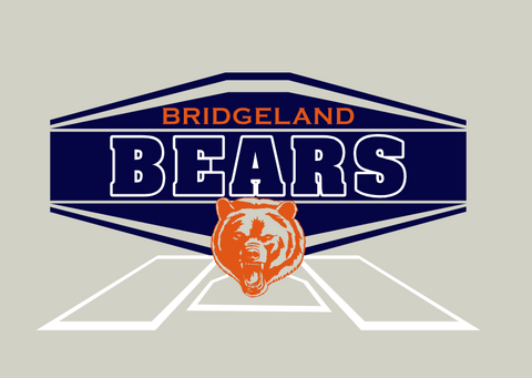 Home Plate -  BRIDGELAND BEARS - SHORT SLEEVE -LONG SLEEVE OR HOODED SWEATSHIRT- Adult Gildan - Heavy Cotton T-Shirt - 5000