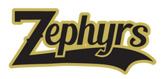 ZEPHYRS - YOUTH thru ADULT -PC450 Port & Company® Fan Favorite™ Tee