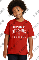 HOT SHOTS BASEBALL  - PROPERTY OF GILDAN - ADULT AND YOUTH TEE